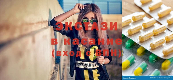 дживик Туринск